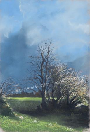 Galerie